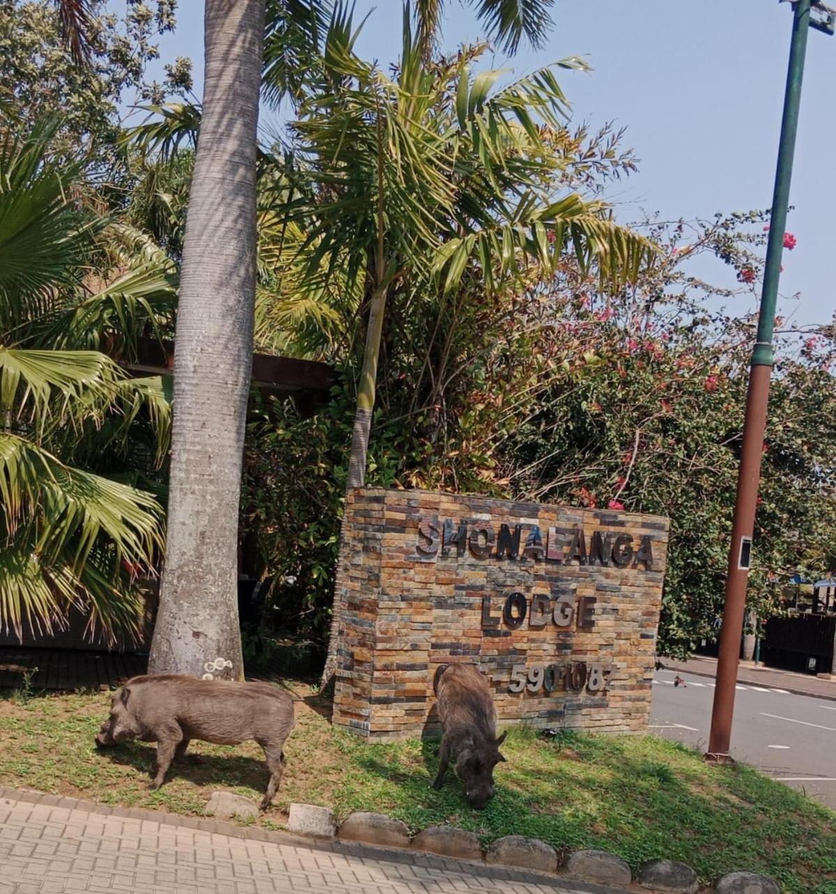 Shonalanga Lodge Saint Lucia Estuary Exteriér fotografie
